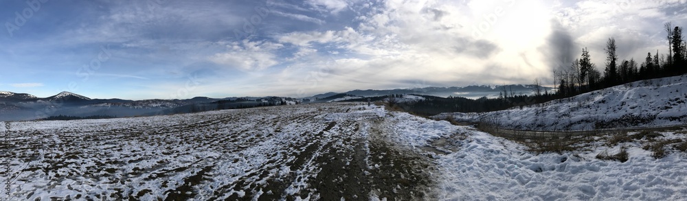 Obraz premium Texture 