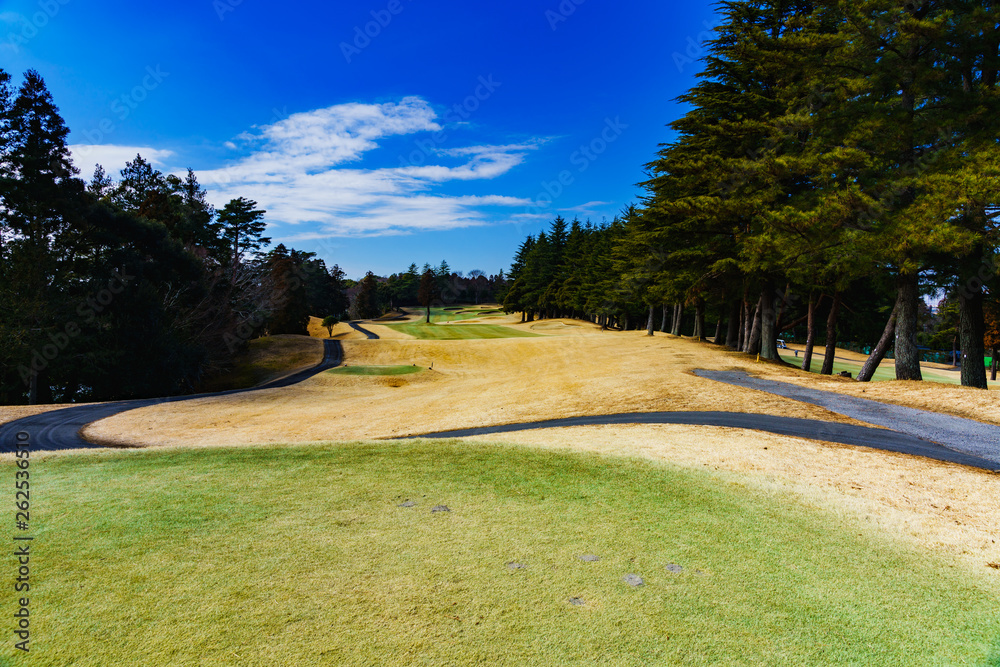 Fototapeta premium landscape of japanese golf course in chiba