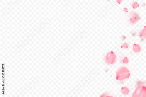 Pink sakura falling petals vector background. 3D romantic illustration. Transporent banner with sakura. Love card