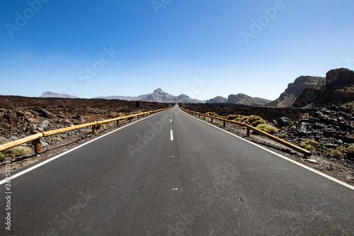 Desert road with rocks and blank signage. straight in perspective of a paved road and blue sky as horizon