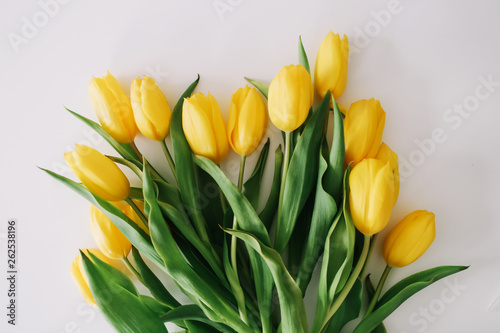 Beautiful tulips on white background. Flat lay, top view. Concept of Easter, March 8. Spring flowers