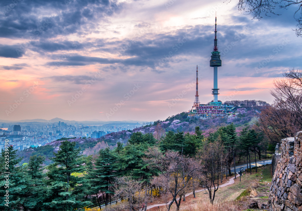 Obraz premium namsan mountain in spring at seoul city south korea
