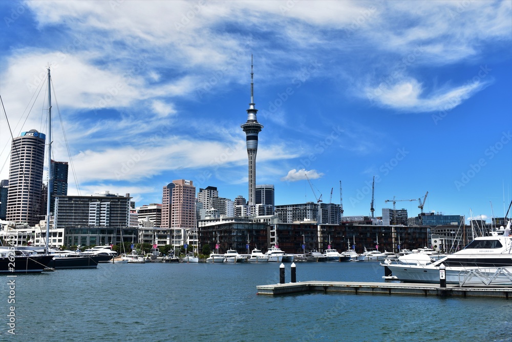 view of city of auckand