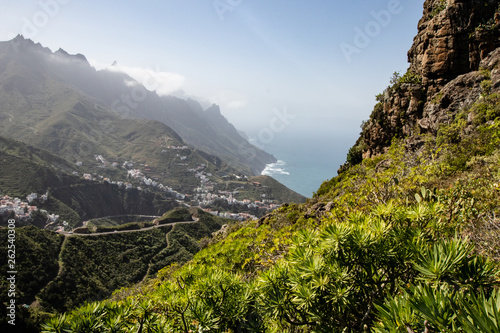 green tropical mountain panorama with thick vegetation and sea views. view from the mountain in summer in Tenerife canary islands