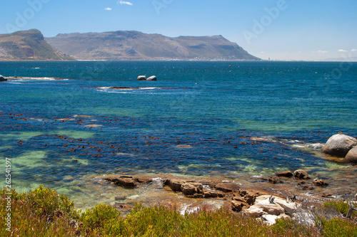 bolder beach cape town parks and reserves of south africa