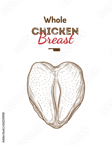 Whole chicken breast drawing vector illustration. Fresh raw cuts of chicken  isolated pieces. Chicken logo, label, sign, emblem. For shop, farm,  butcher, butchery, poultry. Vintage style. Stock Vector