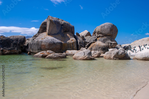 bolder beach cape town parks and reserves of south africa