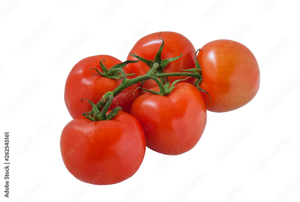 fresh organic soil tomatoes on branch isolated on white close up fresh organic soil tomatoes on branch isolated on white close up