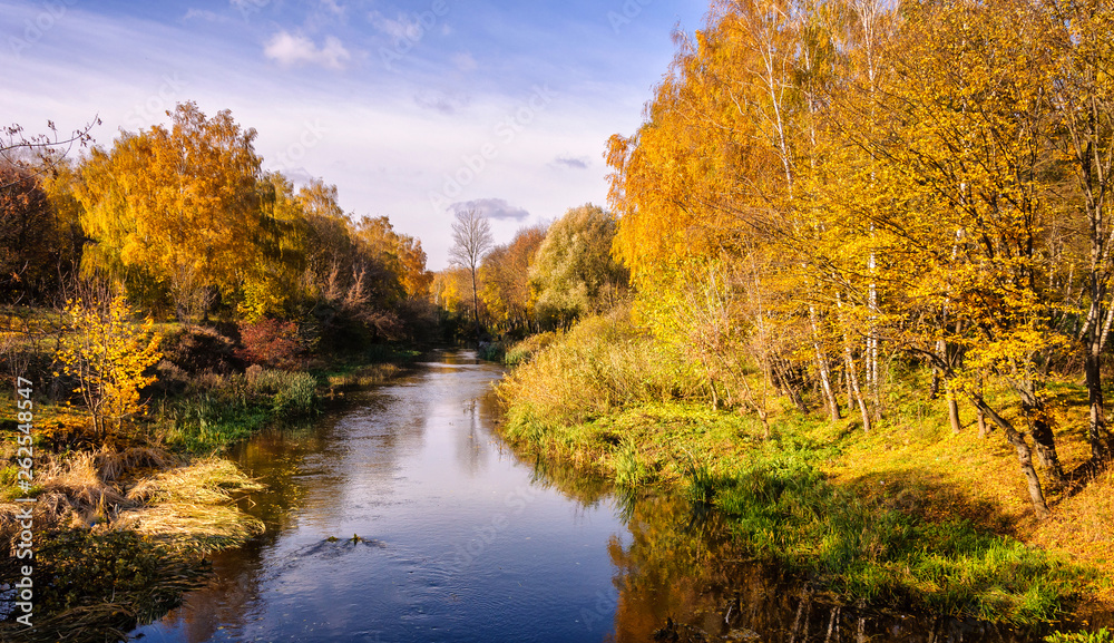 Wonderful autumn landscape, with trees in forest, at the river. 