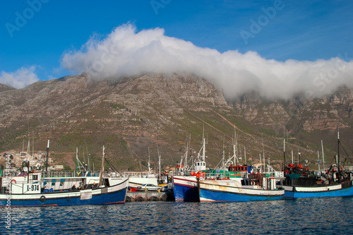 hout  bay town in south africa parks and reserves of south africa photo