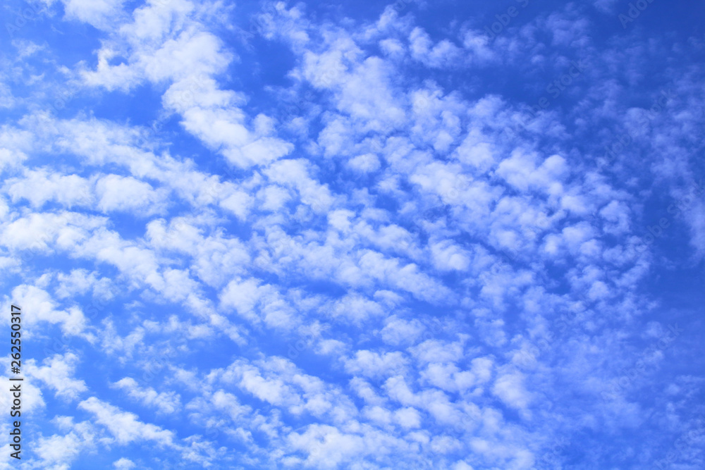 Beautiful cirrus clouds. Background. Landscape. Beautiful cirrus clouds. Background. Landscape.
