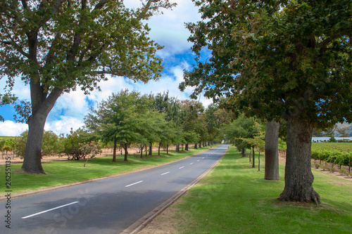 stellenbosch south africa wine parks and reserves of south africa