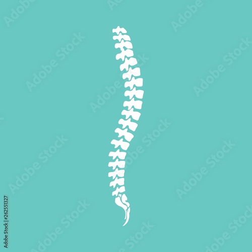 Vector human spine icon isolated silhouette.