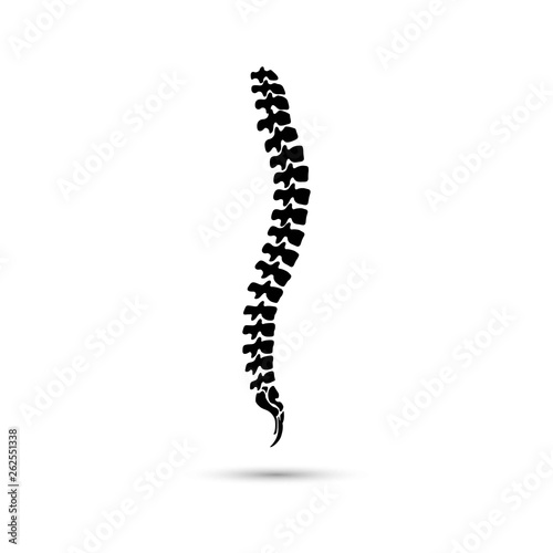 Vector human spine icon isolated silhouette.
