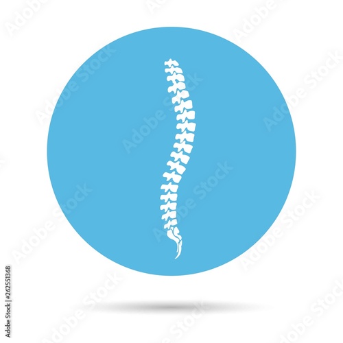 Vector human spine icon isolated silhouette on blue circle.