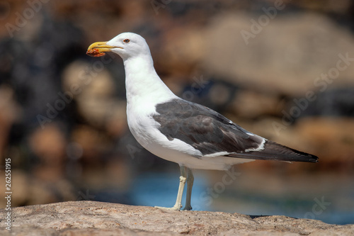 parks and reserves of south africa