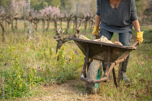 woman farmer pushing a wheelbarrow carrying stones