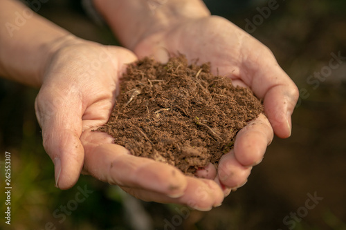 female hands holding a bunch a soil outdoors