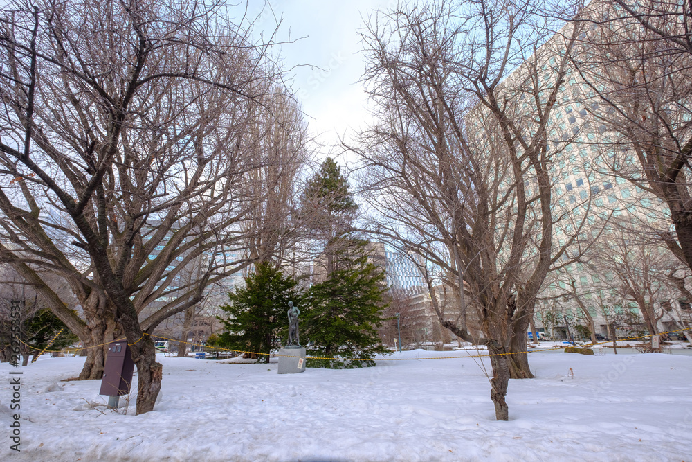 Park of former government in winter snow