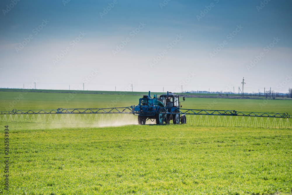 Fototapeta premium Blue tractor with spraying device in green field