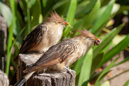 parks and reserves of south africa
