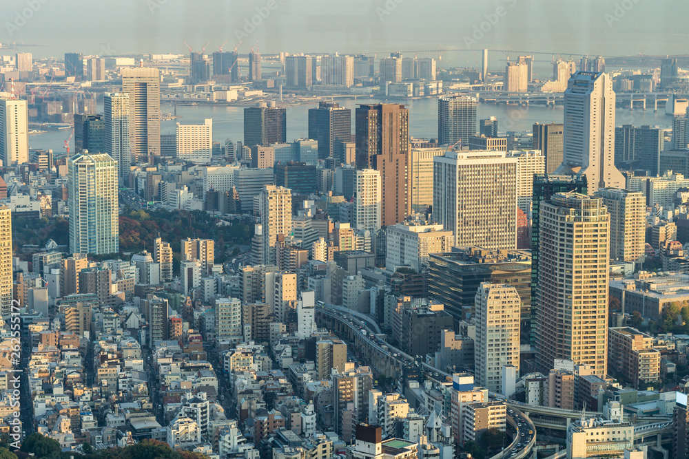 Tokyo Tower, Japan - communication and observation tower. It was the tallest artificial structure in Japan until 2010 when the new Tokyo Skytree became the tallest building of Japan.