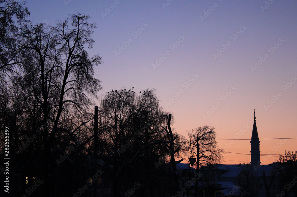 Evening sky with silhouettes of trees and mosque. Some birds on the branches. Dark minaret against dawn.