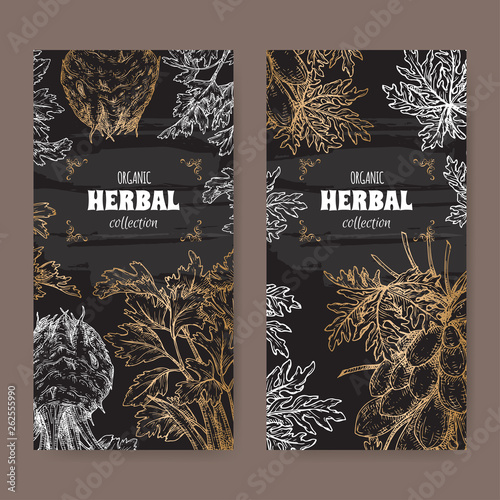 Two labels with apium graveolens aka celery and carica papaya aka papaya tree sketch on black. Green apothecary series.