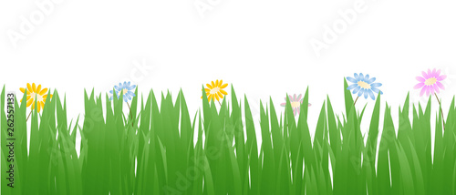 Grass Border with flowers   Vector Illustration