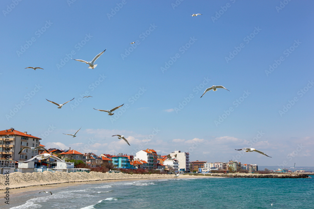 Seagulls Flying Over Sea On Sunny Day Seagulls Flying Over Sea On Sunny Day