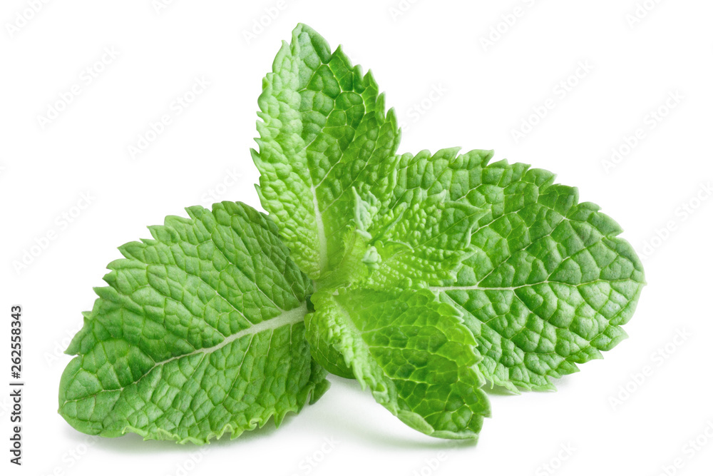 Fresh mint leaves, isolated on white background Fresh mint leaves, isolated on white background