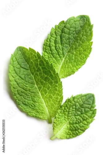 Fresh mint leaves, isolated on white background