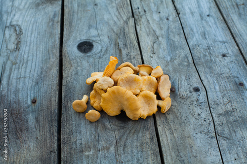 Tasty chanterelles mushrooms on dark wooden board