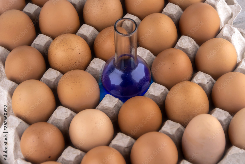 flask with chemical preparations among eggs in the tray flask with chemical preparations among eggs in the tray