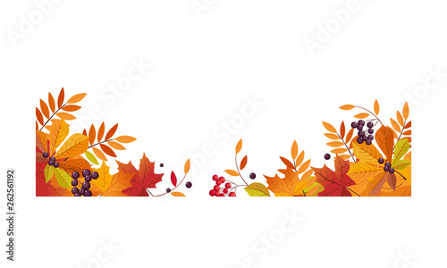 Autumn background with space for text, banner with bright autumn chokeberry, rowan, maple leaves and berries vector Illustration