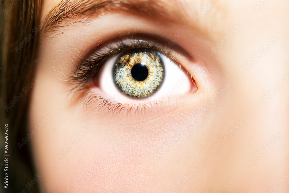 Fototapeta premium Piękne, wnikliwe spojrzenie. Bliska strzał