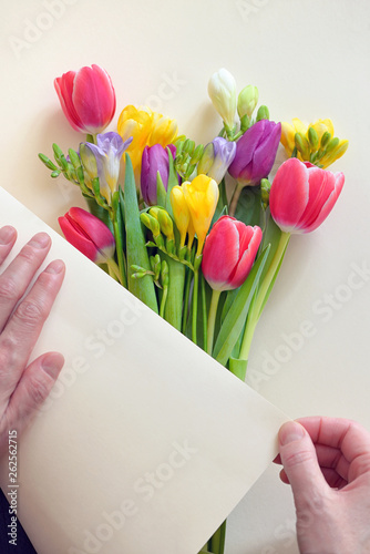 Fototapeta Naklejka Na Ścianę i Meble -  Hands and Bouquets Of Tulips and Freesia