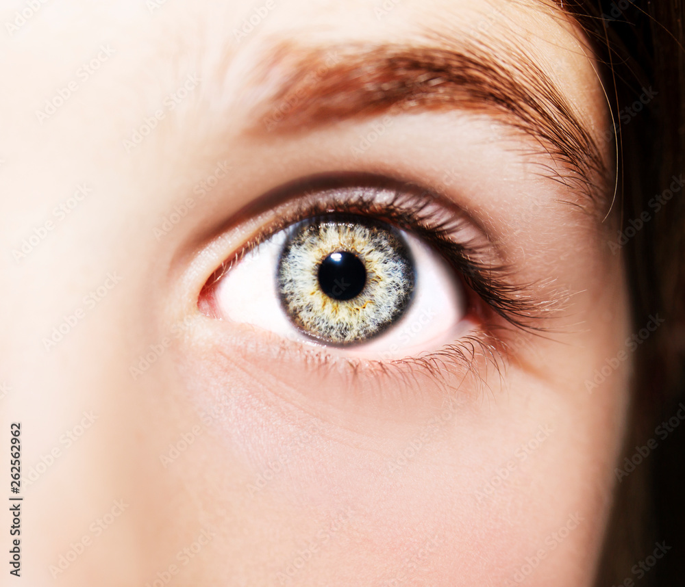 A beautiful insightful look eye. Close up shot A beautiful insightful look eye. Close up shot