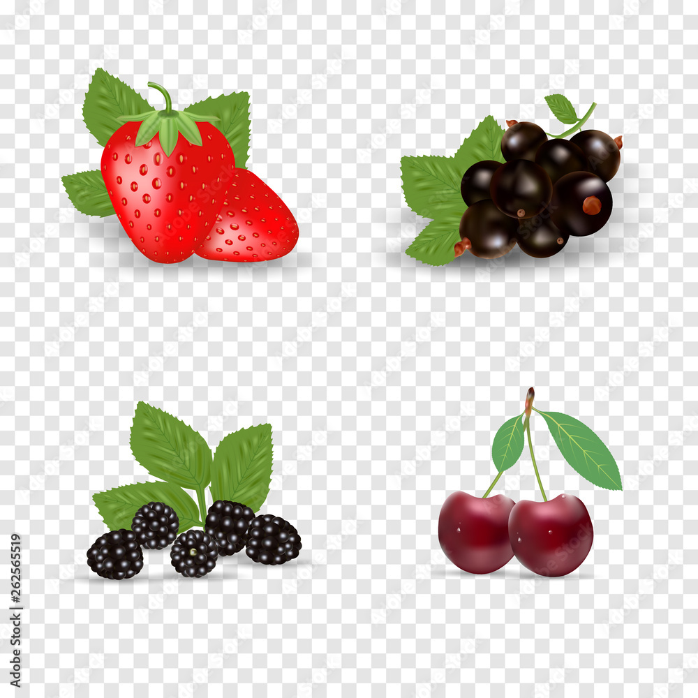 Berry icon set. Black currant, backberry, strawberry and cherry. Berries with green leaves. Organic healthy food. Vector illustration 3d style, eps 10 Berry icon set. Black currant, backberry, strawberry and cherry. Berries with green leaves. Organic healthy food. Vector illustration 3d style, eps 10