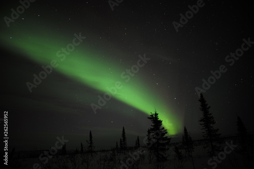 Alaska Northern Light
