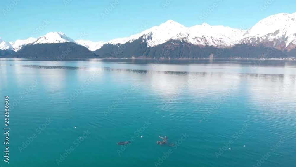 Spectacular views of mountains in Alaska Spectacular views of mountains in Alaska
