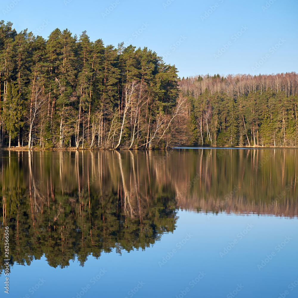 Obraz premium Reflection of forest in lake.