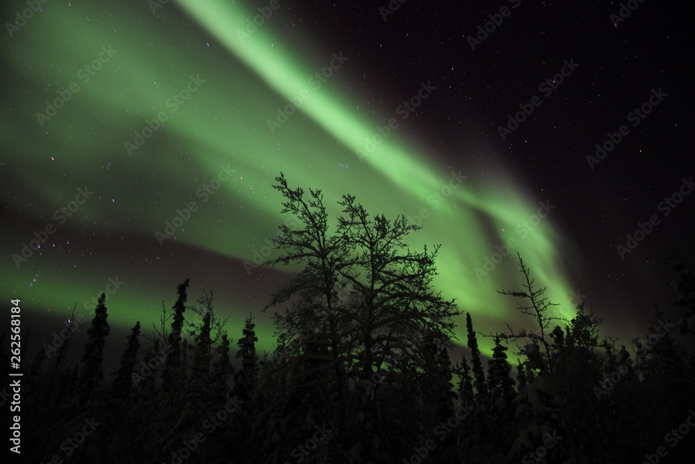 Alaska Northern Light