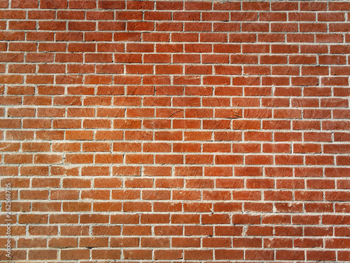 Brick Wall in Summer Sunlight Background Texture