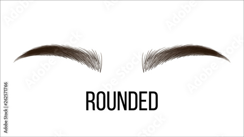 Medium Rounded Vector Hand Drawn Brows Shape. Female Brown Brows Style With Name Isolated Clipart. Microblading Master. Beauty, Cosmetology Salon. Eyebrows Shadows Realistic Illustration
