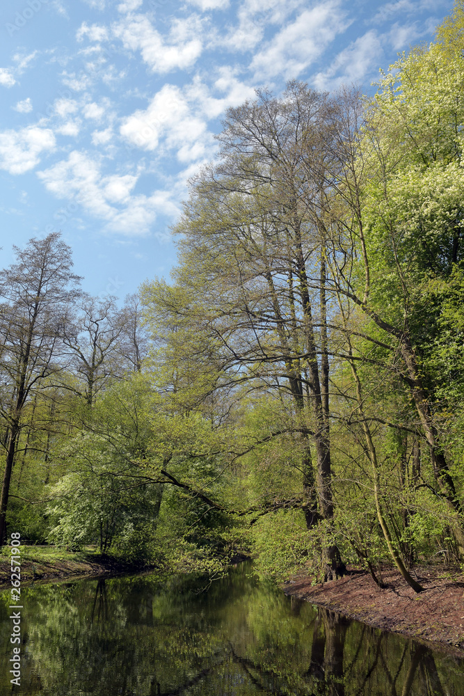 Obraz premium flußlauf