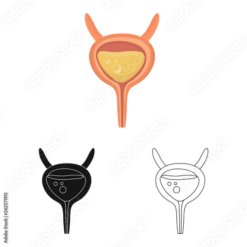 Vector illustration of incontinence and bladder logo. Collection of incontinence and urine  vector icon for stock.