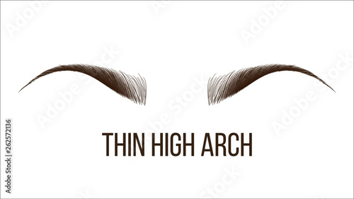 Thin High Arch Vector Hand Drawn Brows Shape. Female Brows Style With Title Isolated Clipart. Microblading, Tattooing Master Business Card. Beauty Industry. Eyebrows Realistic Illustration