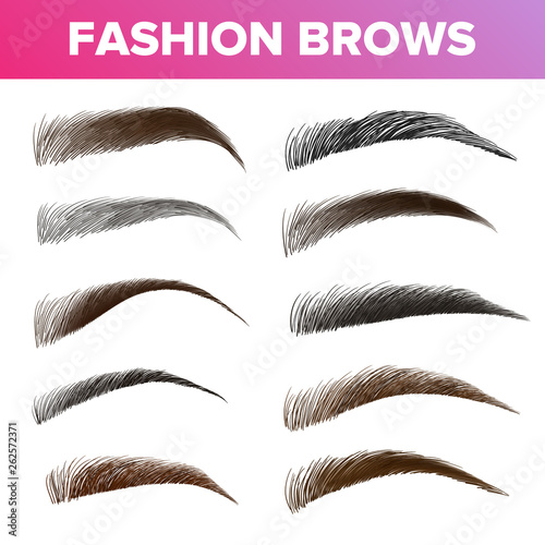 Fashion Brows Various Shapes And Types Vector Set. Brown And Black Brows Pack. Beautician Parlor, Salon Sign Isolated Design Element. Beauty Industry. Trendy Eyebrows Realistic Illustration photo