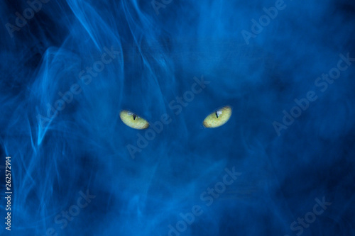 glitter yellow shiny eyes m...